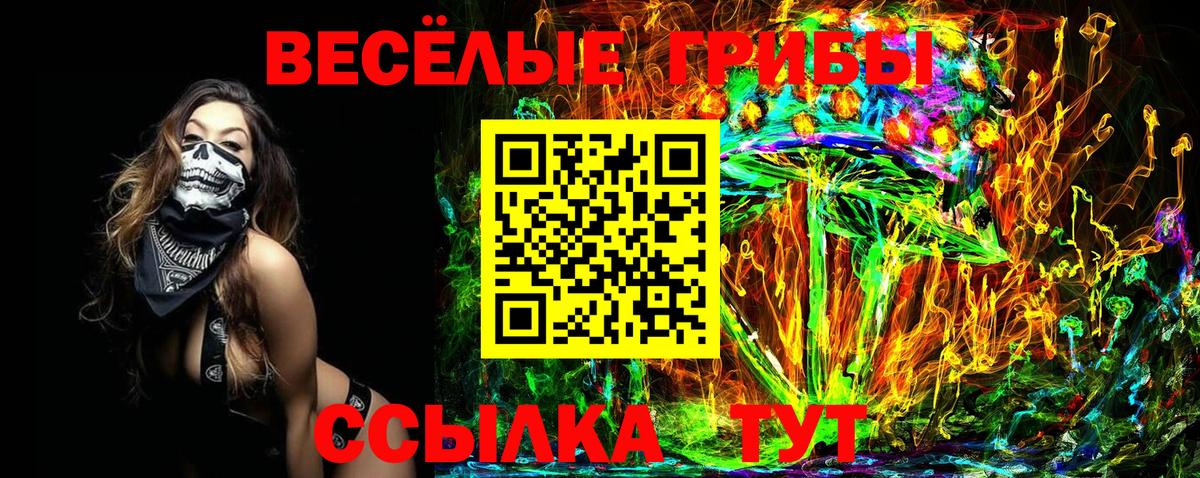 Галлюциногенные грибы Psilocybine cubensis  Вход с VPN  Кольчугино  Псилоцибиновые грибы Cubensis 