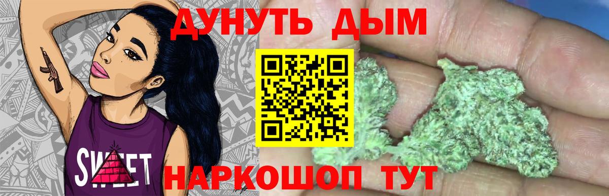 Конопля OG Kush  Конопля ГИДРОПОН  Вход с VPN  Кольчугино  Каннабис семена 
